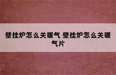 壁挂炉怎么关暖气 壁挂炉怎么关暖气片